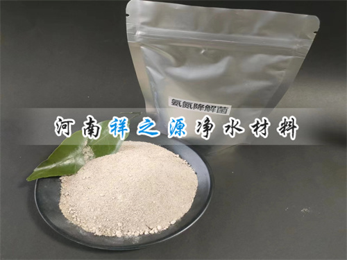 氨氮降解菌主要作用